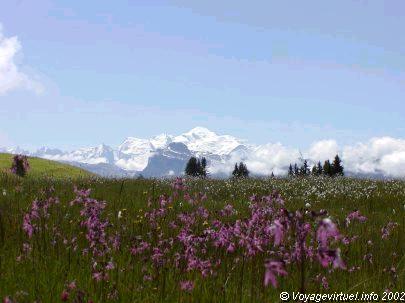 Massif du Mont-Blanc