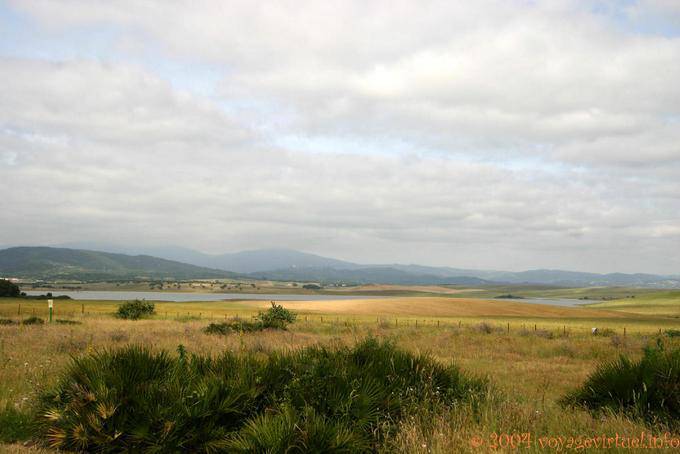 Landscape Embalse de Barbate, Alcala de Los Gazules - Spain, Andalusia