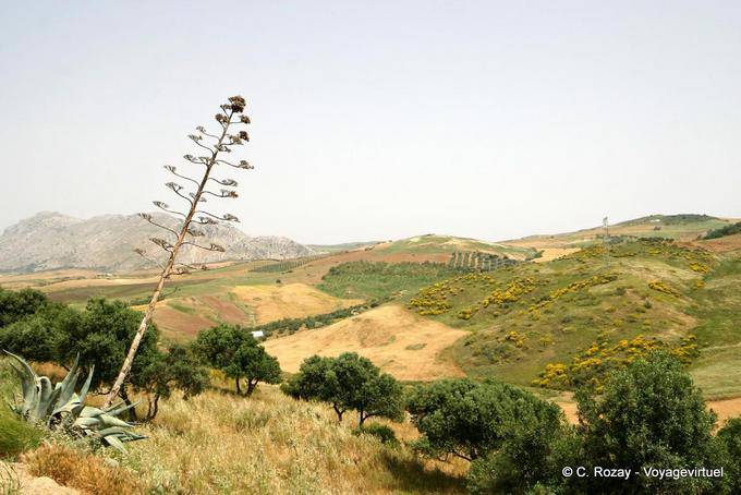 Andalusian landscape around Antequera - Spain