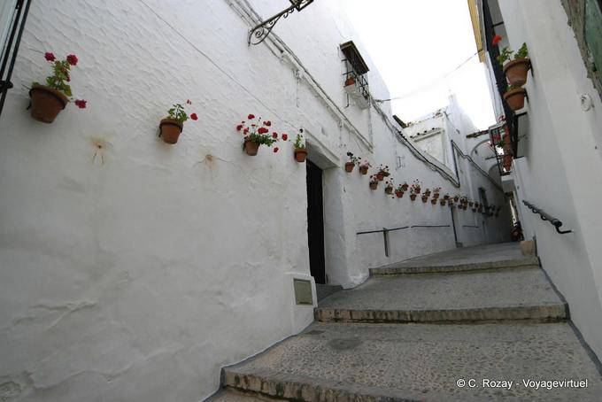 Street geraniums Arcos de la Frontera - Spain