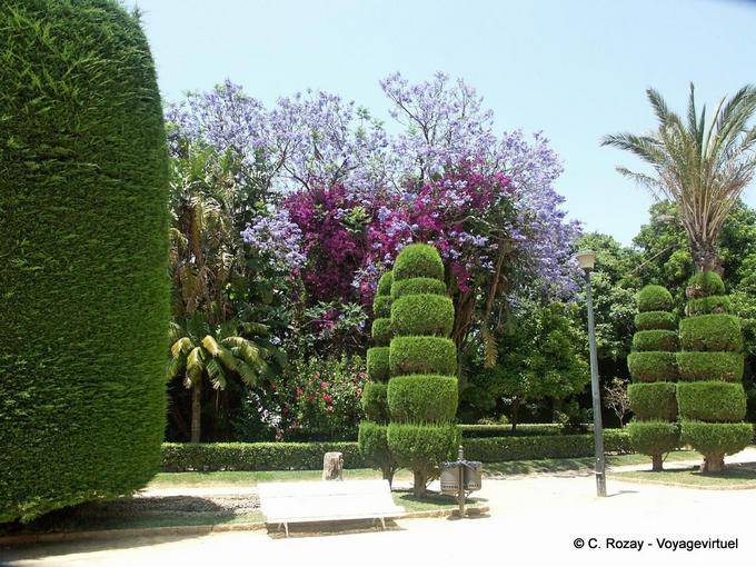 Topiary Parque Genoves, Cadiz - Spain, Andalusia