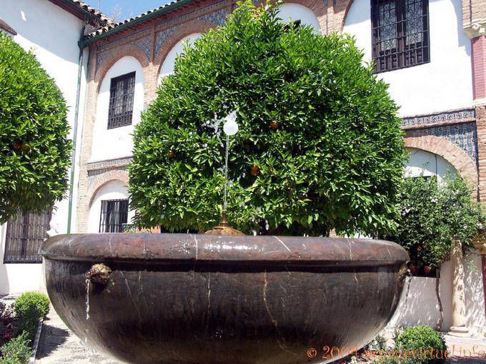 Basin with water jet at the Museo Provincial, Cordoba - Spain, Andalusia