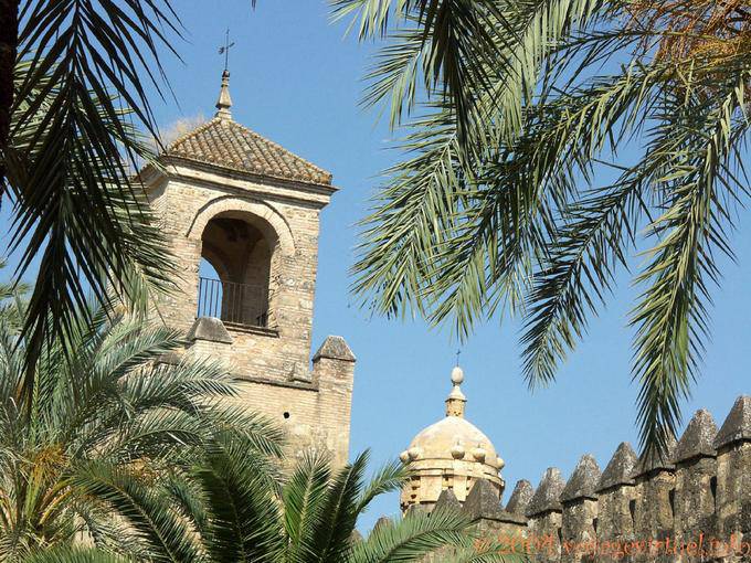 View between the palm trees in the gardens of the Alcazar, Cordoba - Spain, Andalusia