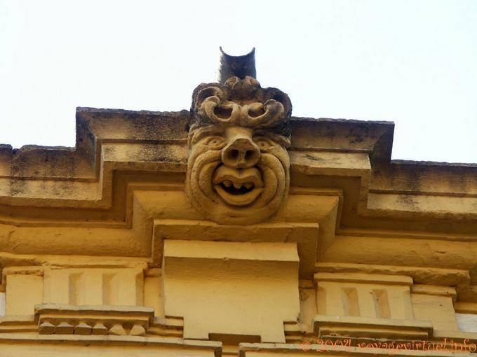 Pig head, Cordoba - Spain, Andalusia