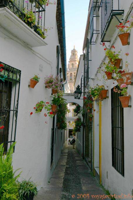 Medina y Corella, narrow alley, Cordoba - Spain, Andalusia