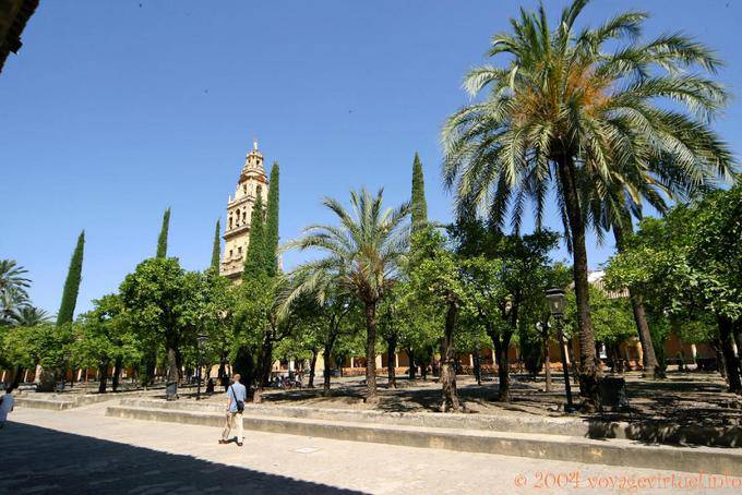 In the garden of the Patio de los Naranjos, Cordoba - Spain, Andalusia