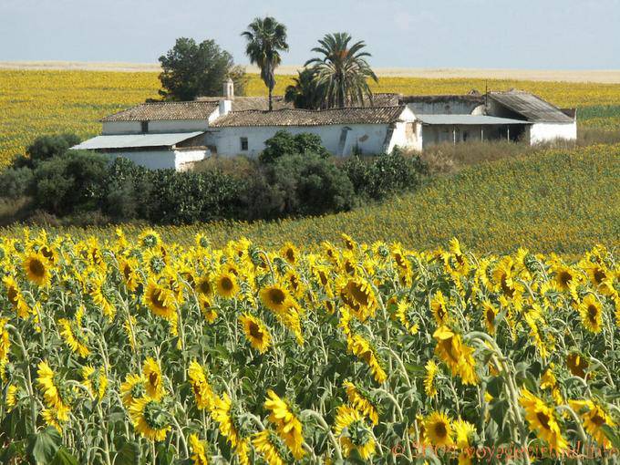 Farm to Grazalema - Spain