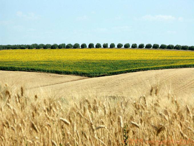 Geometry rustic Grazalema - Spain