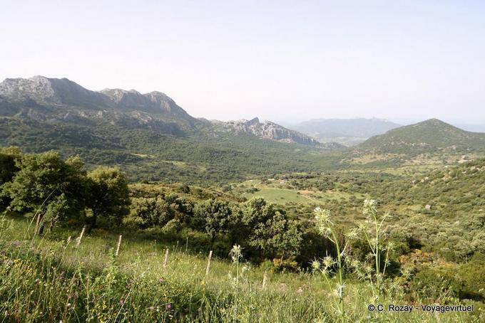 Landscape between Guadix and Grazalema - Spain