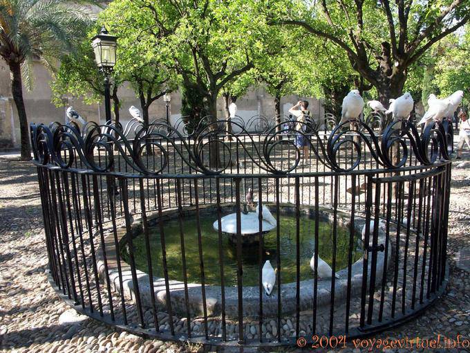 Pigeons courtyard, Cordoba Mezquita - Spain, Andalusia
