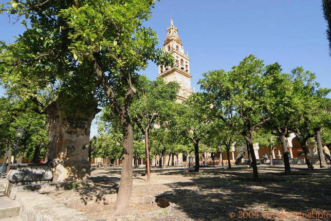 La Giralda view from the Patio de los Naranjos or orange courtyard Cordoba Mezquita - Spain, Andalusia