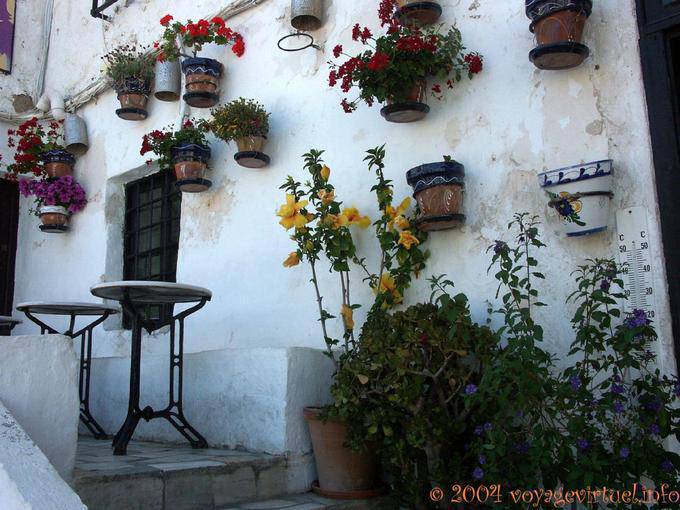 Typical floral in an alley Mojácar - Spain, Andalusia