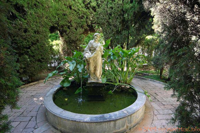 Aquatic impression in the Patio de la Madama, Palacio de Viana, Cordoba - Spain, Andalusia