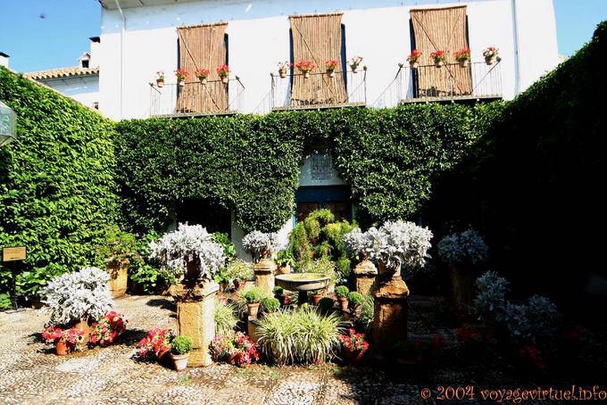 Controlled plant invasion in the patio de las Rejas, Palacio de Viana, Cordoba - Spain, Andalusia