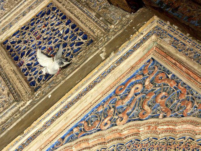 Pigeon lost in arabesques, Seville Alcazar - Spain