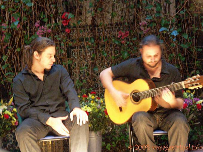 Musician on guitar, Sevilla Flamenco - Spain