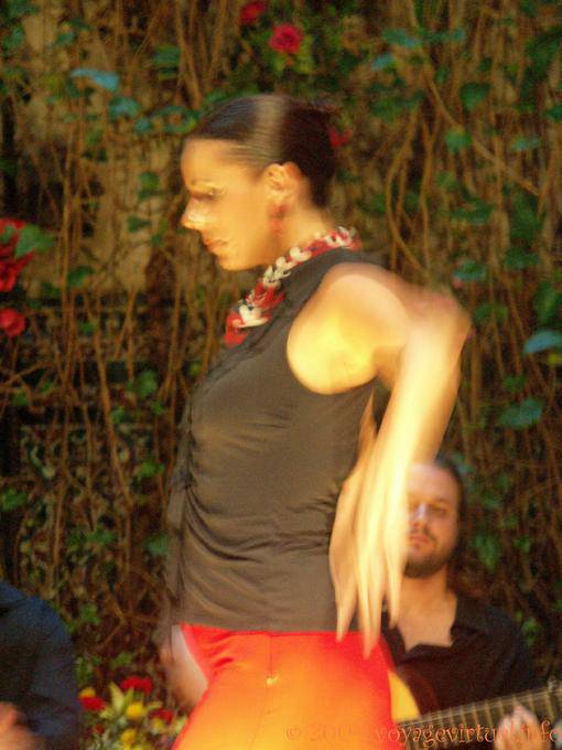 Blur dancing, Seville Flamenco - Spain