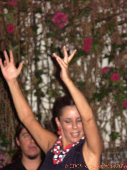 Flamenco dancer hands, Seville - Spain