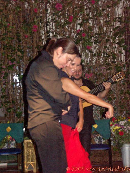 Melee dancers, Seville Flamenco - Spain