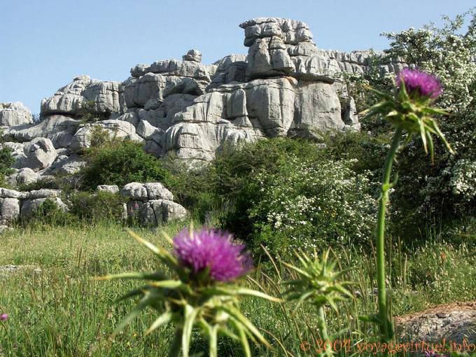 Karst in El Torcal de Antequera - Spain, Andalusia