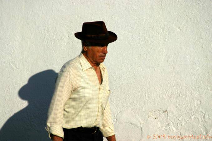 Andalusian and its shadow, Vejer de la Frontera - Spain
