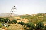 Andalusian landscape around Antequera, Spain.