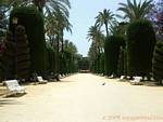Driveway Parque Genoves, Cadiz, Spain.