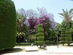 Topiary Parque Genoves, Cadiz, Spain.