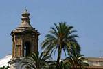 Palm and architecture, Calle San Juan de Dios, Cadiz, Spain.