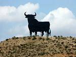 Bull silhouette, Spain.