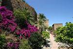 Floral walls of the Alcazaba, Malaga, Spain.