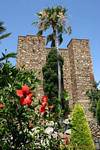 Palm tree in front of a tower of the Alcazaba, Malaga, Spain.