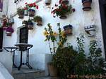 Typical floral in an alley Mojácar, Spain.