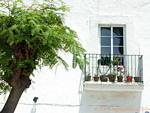 Tree and balconette, Tarifa, Spain.