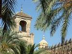 View between the palm trees in the gardens of the Alcazar, Cordoba, Spain.