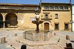 Fountain horse, Plaza del Potro, opposite the Museo de Bellas Artés, Cordoba, Spain.