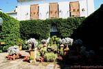 Controlled plant invasion in the patio de las Rejas, Palacio de Viana, Cordoba, Spain.
