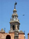 View El Giraldillo, torre Giralda, Seville, Spain.