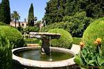 Topiary and fountain in the garden, Seville Alcazar, Spain.