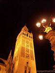 Night lighting of the Giralda and lamp, Seville Cathedral, Spain.