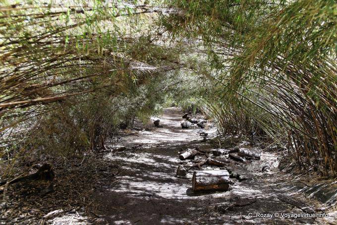 Printing on the Circuito Chico, Bariloche - Argentina