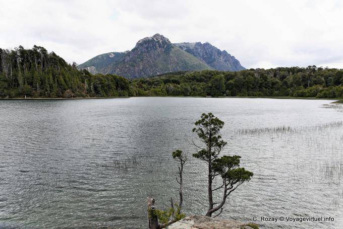 Another view of the Parque Nacional Llao Llao, Bariloche - Argentina