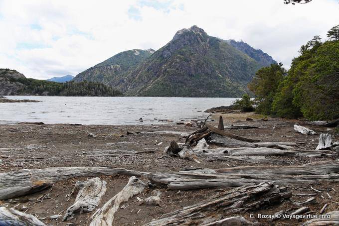 Lake, driftwood and mountain circuito Chico, Bariloche - Argentina