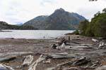 Lake, driftwood and mountain circuito Chico, Bariloche, Argentina.