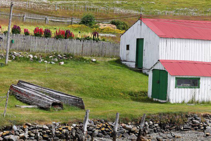 Old boats and lupins, Estancia Harberton, Ushuaia - Argentina