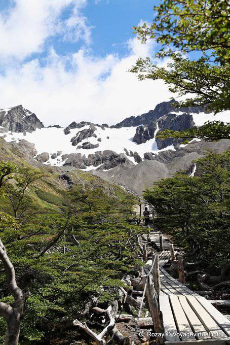 Wood Passage, El Bosque, Martial Glacier, Ushuaia - Argentina