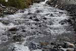Water singing between Bosque and moraine Martial Glacier, Ushuaia, Argentina.
