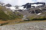 Between lenga between Bosque and moraine Martial Glacier, Ushuaia, Argentina.
