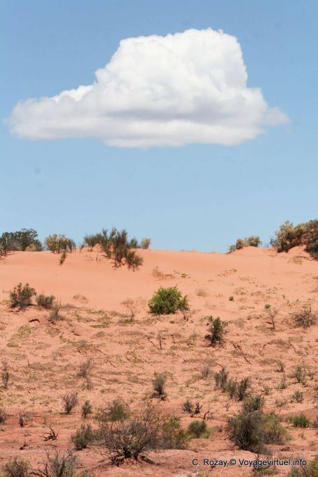 Ischigualasto, cloud sand - Argentina
