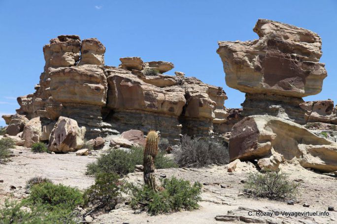 View of the submarine, Ischigualasto, Valley of the Moon - Argentina